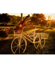 Bicicleta con violín