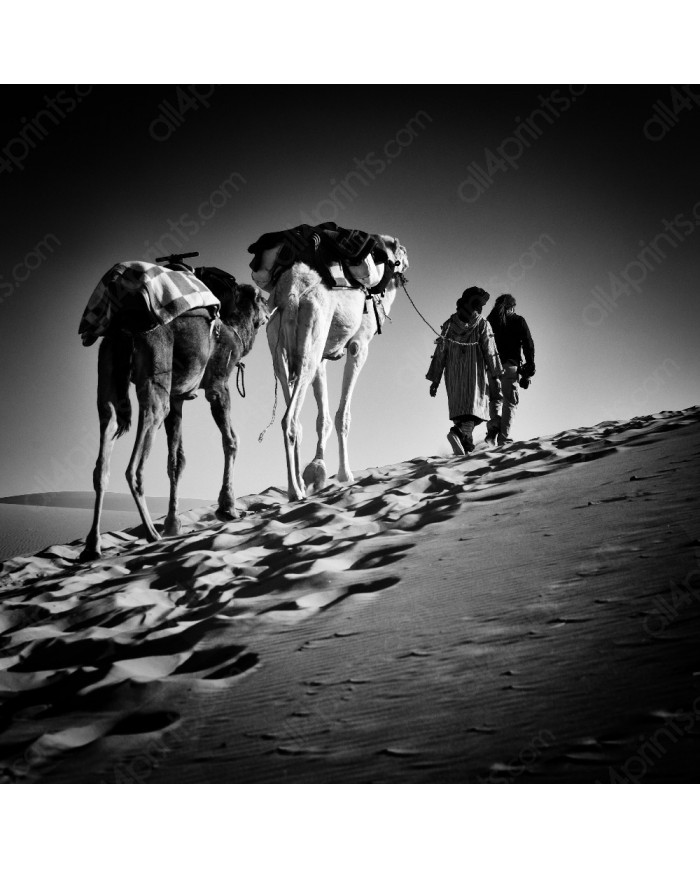 Viajando por el desierto del Sahara