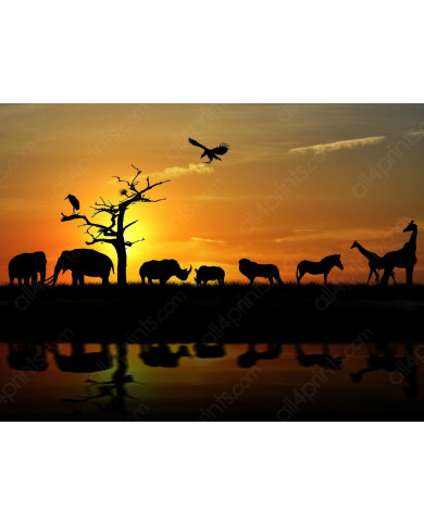 Siluetas de animales en el Parque Nacional de Moremi y Chobe, Botswana Siluetas de animales en el Parque Nacional de Moremi y Chobe, Botswana