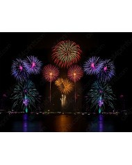 Fuegos artificiales en la Bahía de San Francisco, USA