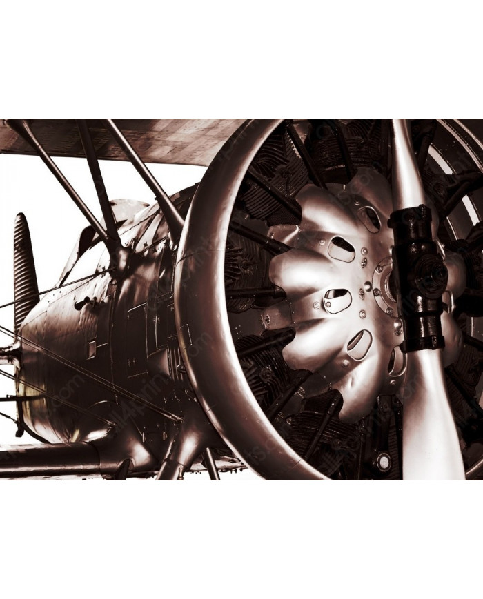 Motor y hélice de un aeroplano