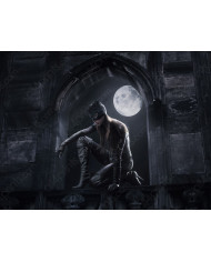 The hunger games: catching fire