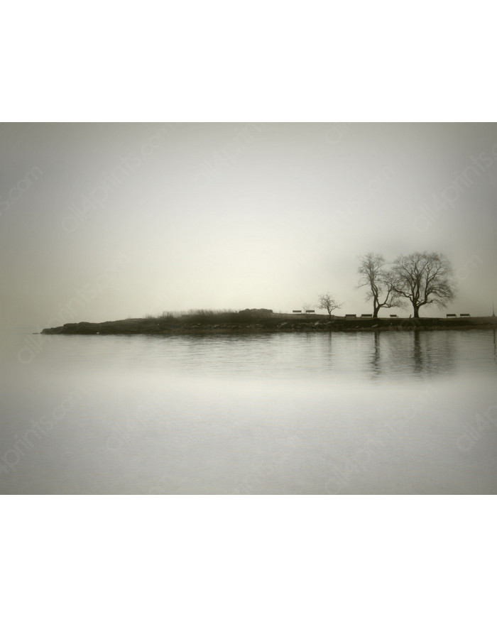 El reflejo de los árboles