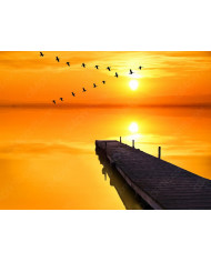 Pájaros sobre el pier