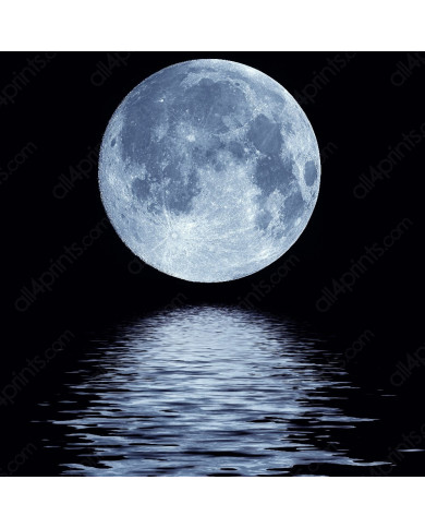 El reflejo de la luna llena El reflejo de la luna llena