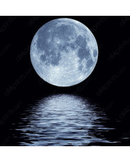 El reflejo de la luna llena