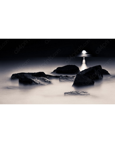 Claro de luna sobre las rocas Claro de luna sobre las rocas