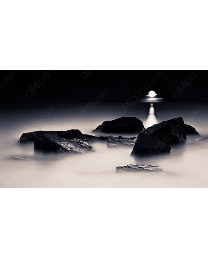 Claro de luna sobre las rocas