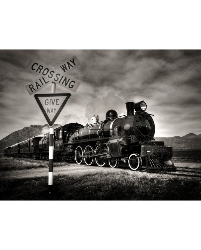 Locomotora a vapor Kingston, Nueva Zelanda