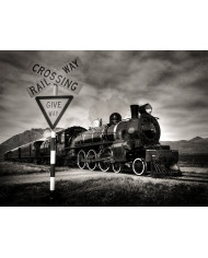 Locomotora a vapor Kingston, Nueva Zelanda