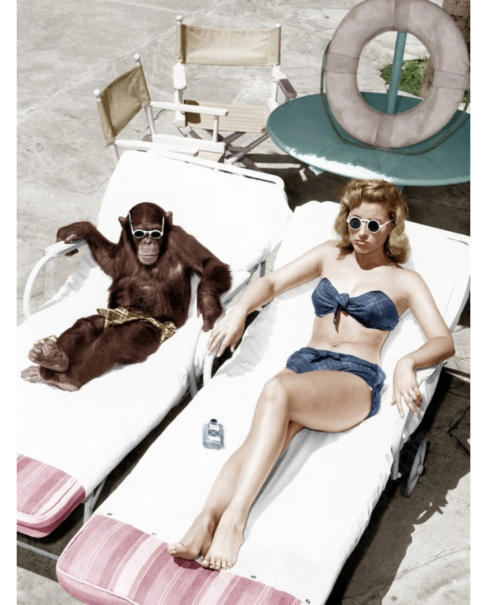 Tomando el sol con mi amigo