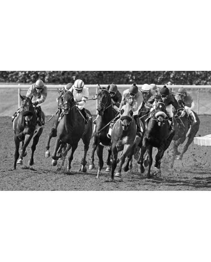 Carrera en el Hipódromo de Santa Anita de Arcadia, California, USA
