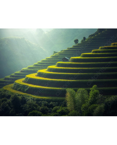 Balcones de arroz, Bali Balcones de arroz, Bali