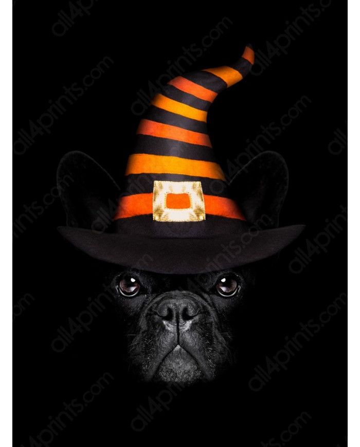 Buldog francés en Halloween