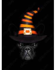 Buldog francés en Halloween