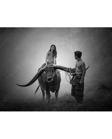 Campesina sobre un búfalo de agua, Birmania Campesina sobre un búfalo de agua, Birmania