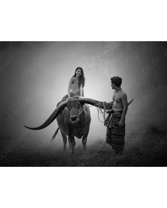 Campesina sobre un búfalo de agua, Birmania