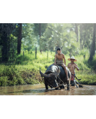 Campesino sobre búfalo, Tailandia