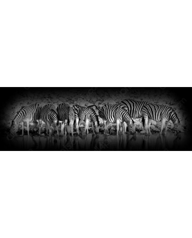 Cebras en el Parque Nacional de Etosha, Namibia Cebras en el Parque Nacional de Etosha, Namibia