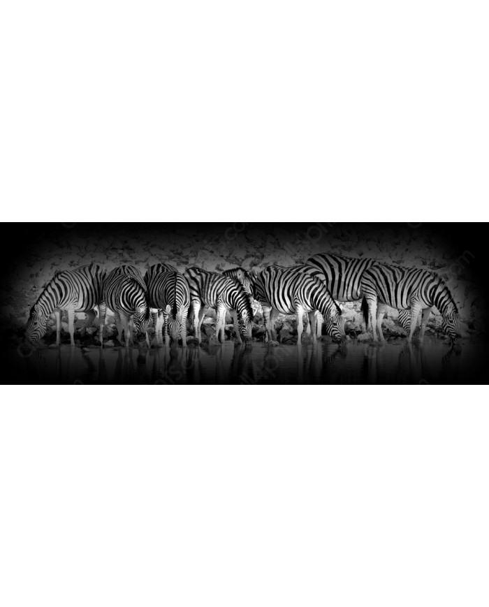 Cebras en el Parque Nacional de Etosha, Namibia