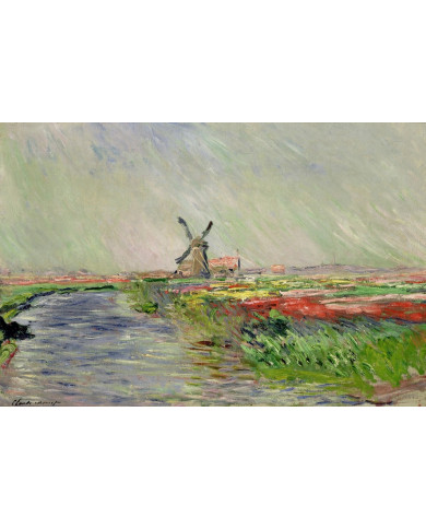Claude Monet, Champ de tulipes en Hollande Claude Monet, Champ de tulipes en Hollande