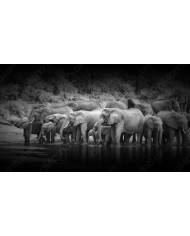 Como un elefante en una cacharrería