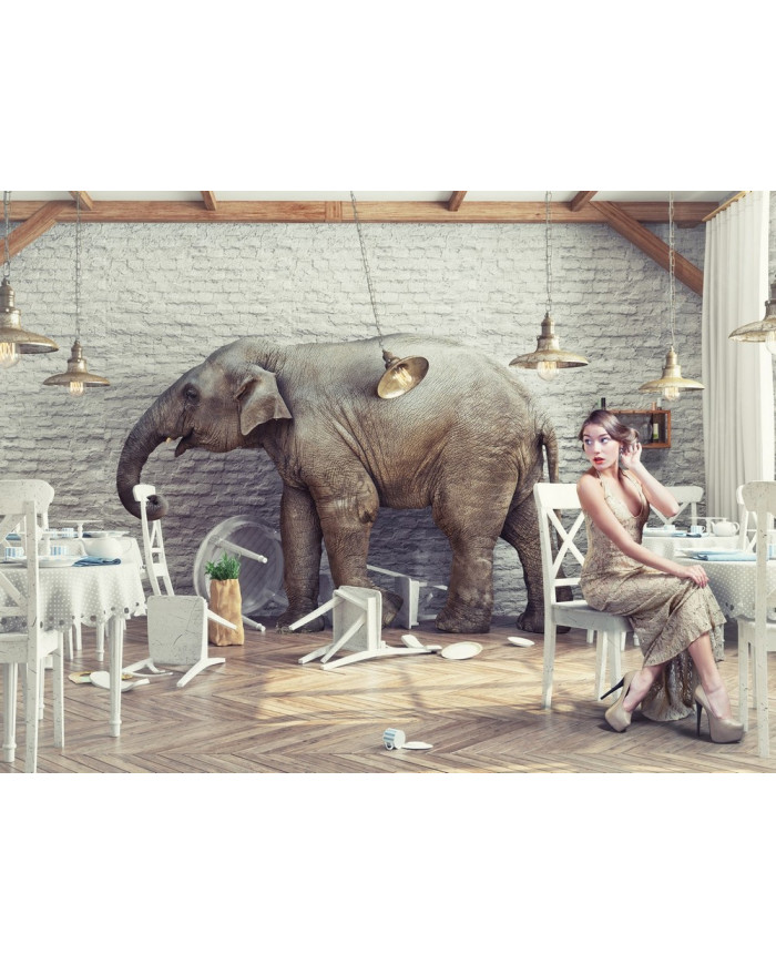 Como un elefante en una cacharrería