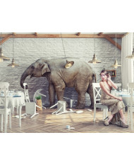 Dachshund - perro salchica  profesor