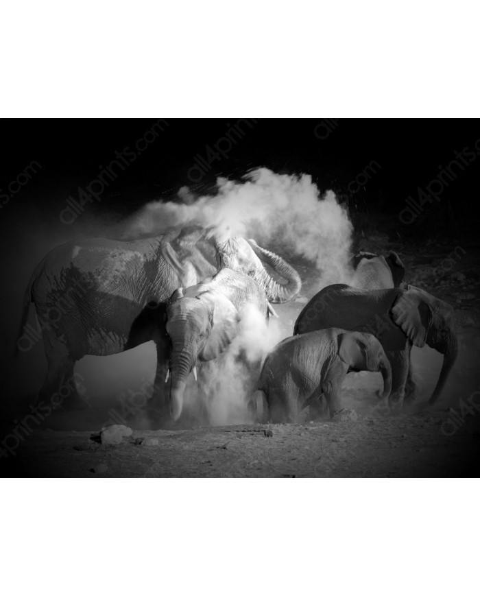 Elefantes tomando un baño de polvo, Parque Nacional Etosha, Namibia