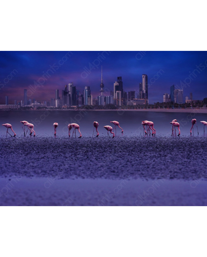 Flamencos frente al Skyline de Kuwait