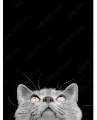 Familia de elefantes, Parque Nacional Serengueti, Tanzania