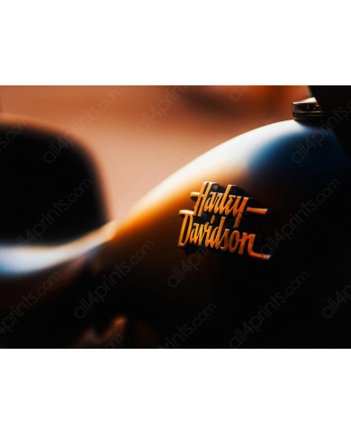 Harley Davison Harley Davison