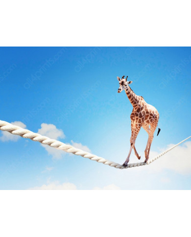 La jirafa equilibrista La jirafa equilibrista