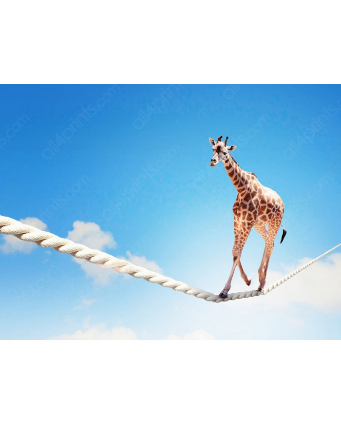 La jirafa equilibrista