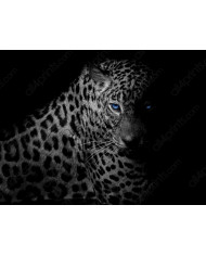 Leopardo descansando en un árbol, Parque Nacional Masai Mara, Tanzania