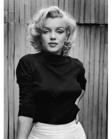Marilyn Monroe Marilyn Monroe