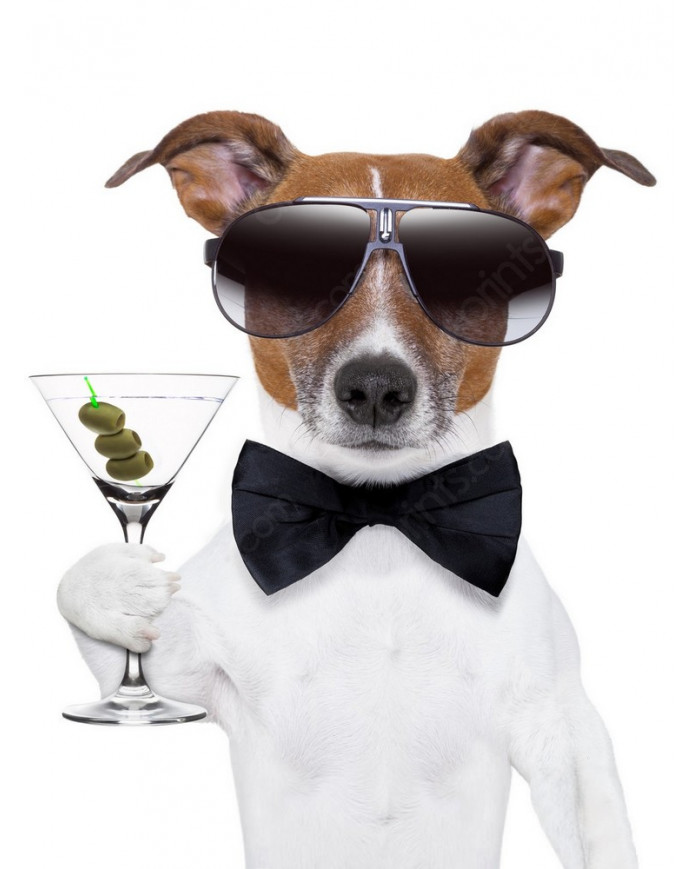 Perro afrancesado con un martini