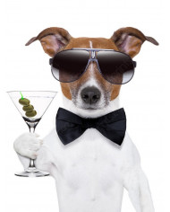 Retrato de dos cebras