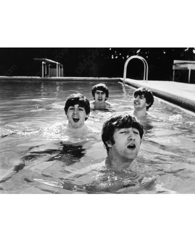 The Beatles The Beatles
