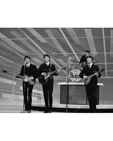 The Beatles The Beatles