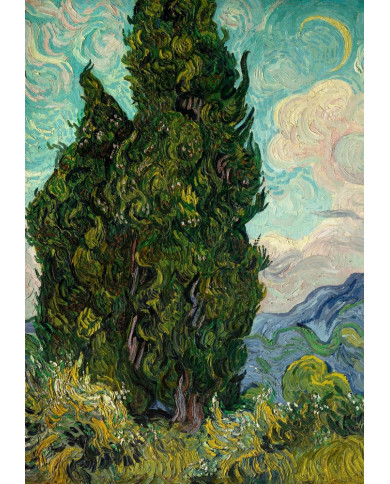 Vincent Van Gogh, Cypresses Vincent Van Gogh, Cypresses