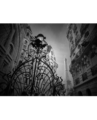 Vista de la Torre Eiffel, París