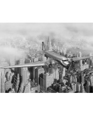 Tintín en el Castillo de Cheverny, Francia