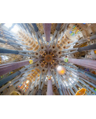 Interior de la Sagrada Familia, Gaudí, Barcelona, España