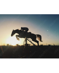 Camellos por el desierto de Marrakech,Marruecos