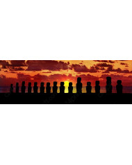 Bosque de bambús,India