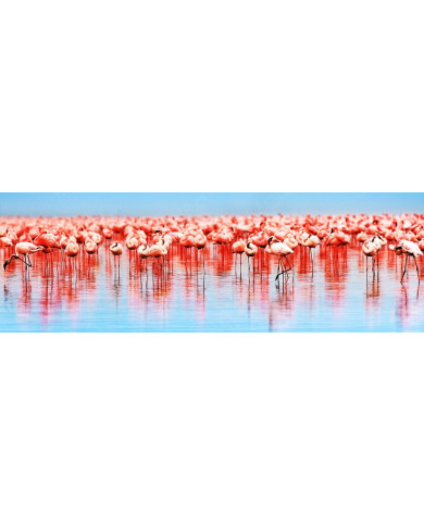 Flamencos,lago de Nakuru,Kenia Flamencos,lago de Nakuru,Kenia