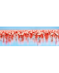 Flamencos,lago de Nakuru,Kenia