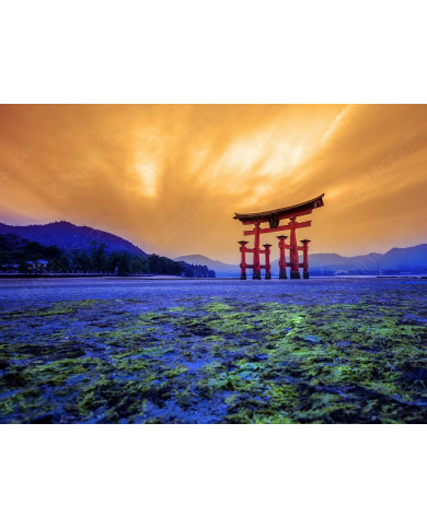 Tori Gate,Santuario Itsukushima,Hiroshima,Japón