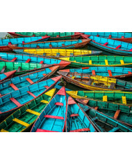 Retrato de un jaguar, Costa Rica